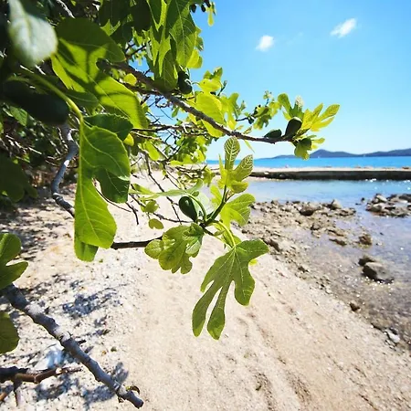 Mobile Opal 2 Biograd Na Moru