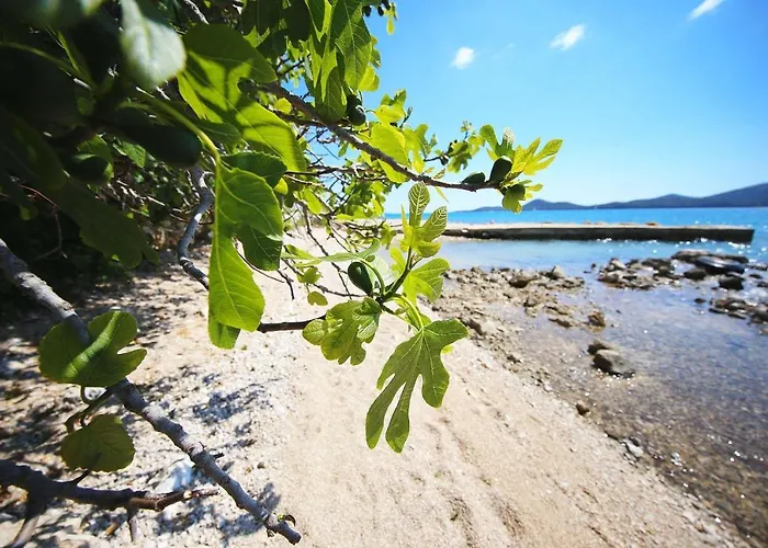 Mobile Opal 2 Biograd Na Moru